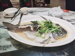 -九记路边鸡(穗盐路店)