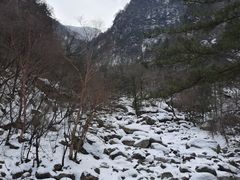 -青峰峡国家森林公园