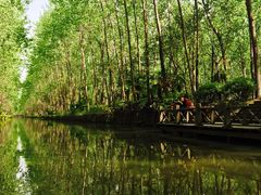 -合肥滨湖国家森林公园