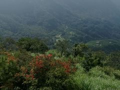 -广州市石门国家森林公园