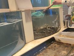 -海天盛宴新派海鲜自助餐厅(群力店)