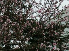 -恒生商业广场(上丰店)