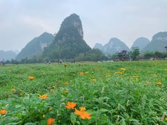 -靖西鹅泉风景区