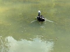 -云溪植物园