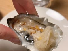 -State Bird Provisions