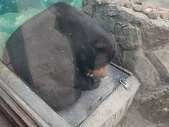 -昆明动物园