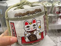 -TIAT DUTY FREE SHOP NORTH(羽田机场店)