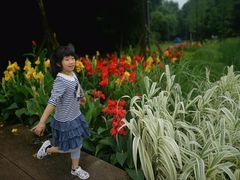 -贵阳市花溪国家城市湿地公园