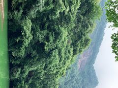 -青城山