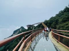 -少华山国家森林公园