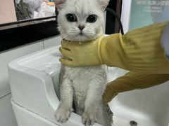 -贝康宠物医院·犬猫全科·小动物特色诊疗中心(东环路店)