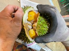 -油麻地果栏