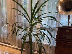 -岭南故事·影院足道SPA·石岐店