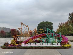 -青枫公园