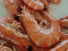 -七鲜渔港美食餐厅(巽寮湾海景店)