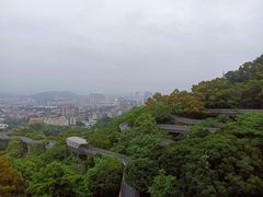 -福道