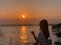 -宝安西湾红树林湿地公园