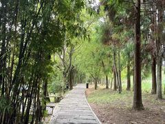 -花溪公园