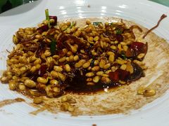 -三强鸽子(中原路店)