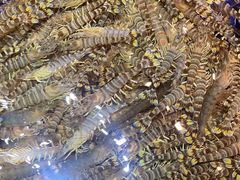 -高佳庄·舟山海鲜(海景旗舰店)