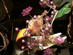 -玉珑泉·汤泉美食水疗(海珠店)