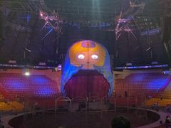 -俄罗斯国家大马戏团