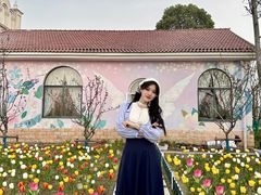 -杭州湾海上花田景区