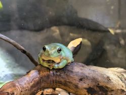 -Zoolung Zoolung动物主题公园(海信广场店)