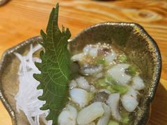 -日吉丸·鸟将军炭火融合酒馆(中央大街店)
