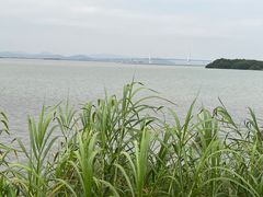 -西堤公园