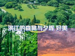 -上海滨江森林公园