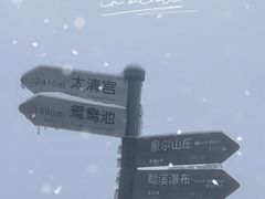 -瓦屋山景区