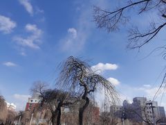 -长春公园(普阳街道)