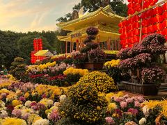 -西湖公园(鼓楼区)
