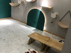 -飞行喵MR PILOT|猫舍·猫咖(静安大融城店)