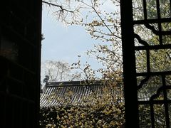 -灵谷景区