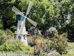 -上海共青森林公园