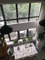 -安那般那皮肤年轻化ANAPANA
