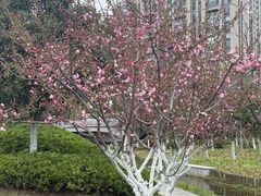 -皇粮浜湿地公园