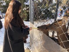 -长白岛森林公园