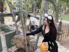 -灵玲国际马戏城