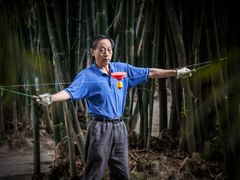 从小就看到玩的,响簧-望江楼公园