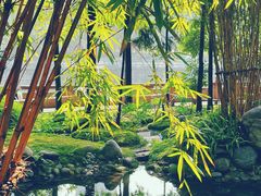 -成都市活水公园