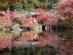 -醍醐寺