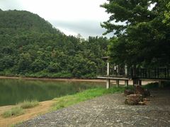 -广州市石门国家森林公园