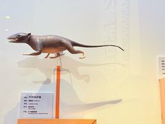 -国家自然博物馆