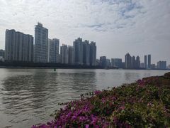 -二沙岛艺术公园