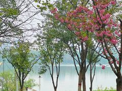 -灞河西岸滨河公园