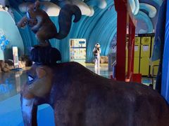 -烟台海昌鲸鲨海洋公园