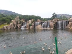 -白马涧龙池景区